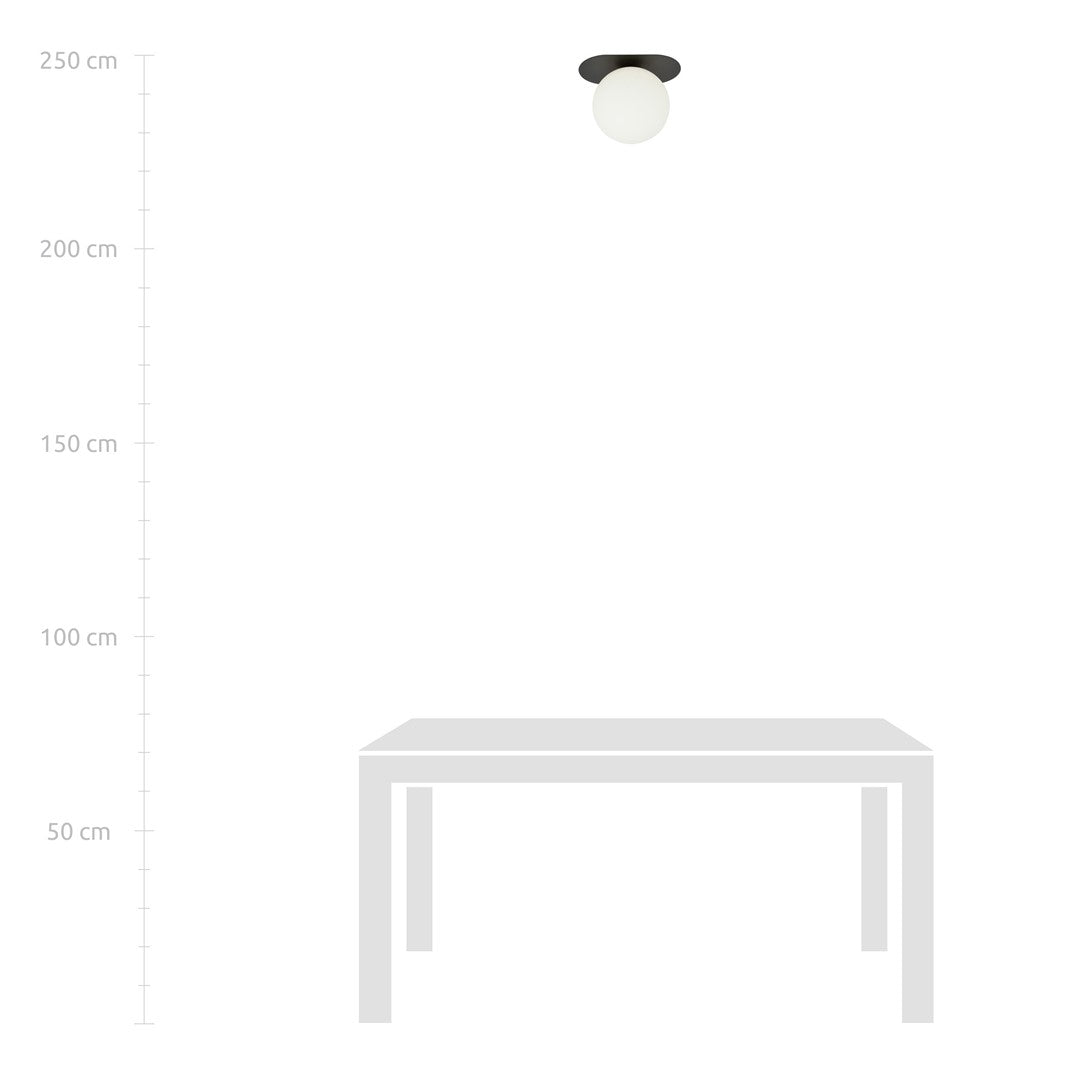 PLAZA 1 BLACK OPAL – Minimalistische plafondlamp met industriële flair