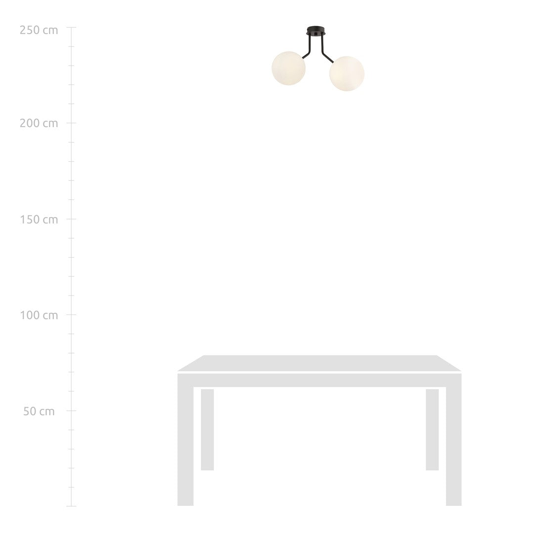 NOVA 2 BLACK OPAL – Minimalistische plafondlamp met elegante glazen kappen