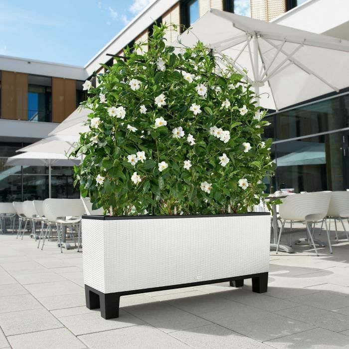 LECHUZA Jardinière Trio Cottage 30 – Complete Set met Waterreservoir