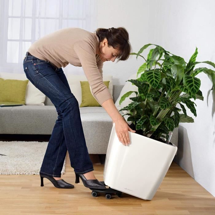 LECHUZA Quadro Premium LS 50-bloempot – Volledige set met luxe glans in scharlakenrood