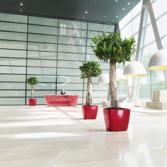 LECHUZA Quadro Premium LS 50-bloempot – Volledige set met luxe glans in scharlakenrood