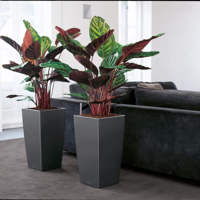 LEC Cubico Premium 40 bloempot – Stijlvol rood design met handig waterreservoir