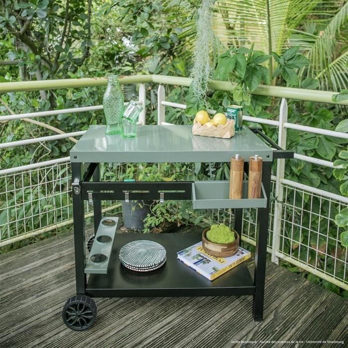 LIVOO Plancha Trolley – Mobiele Buitenkeuken in Groen/Zwart