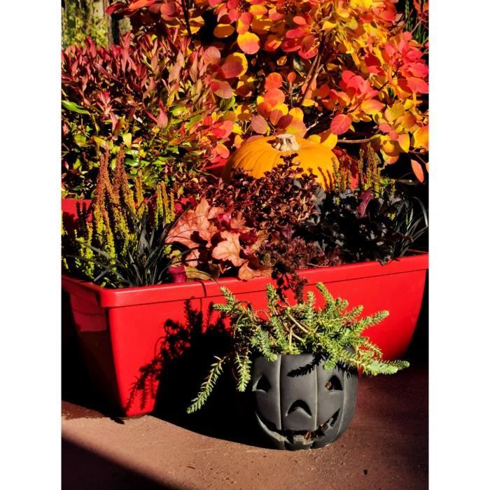 RIVIERA EVA Bloembak – Set van 2 Ruime Plantenbakken in Rood