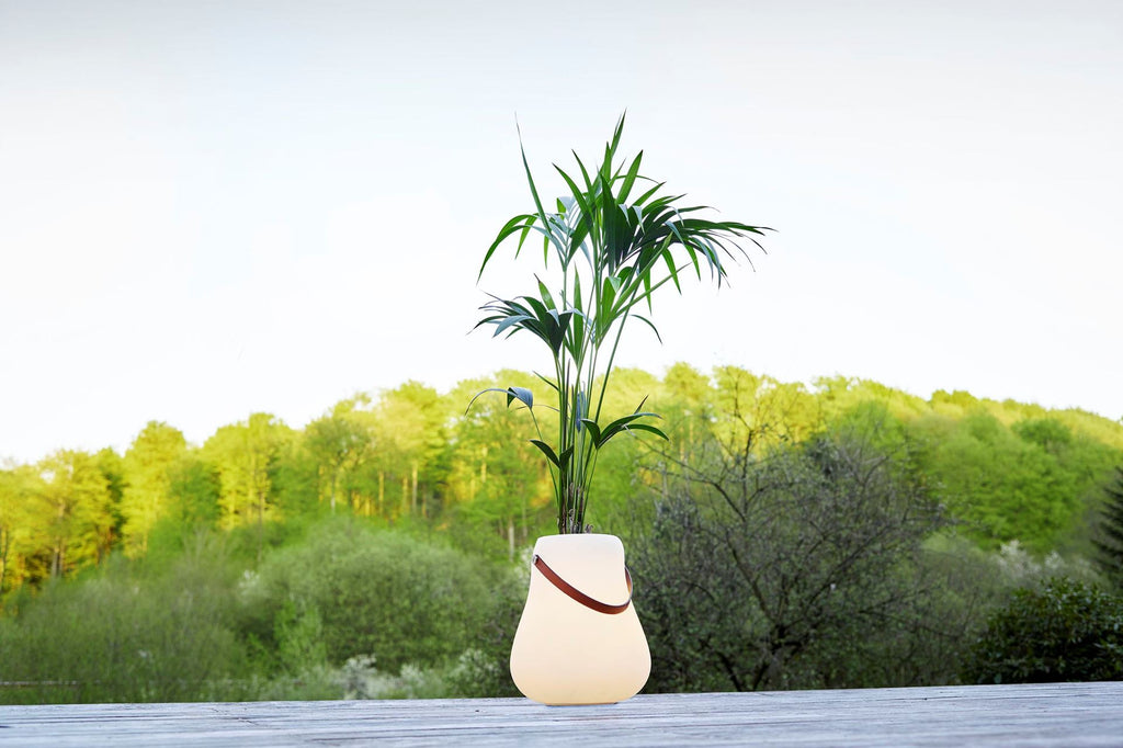 Nordic D’luxx Bloempot – Slimme Sfeerbrenger met Licht & Geluid