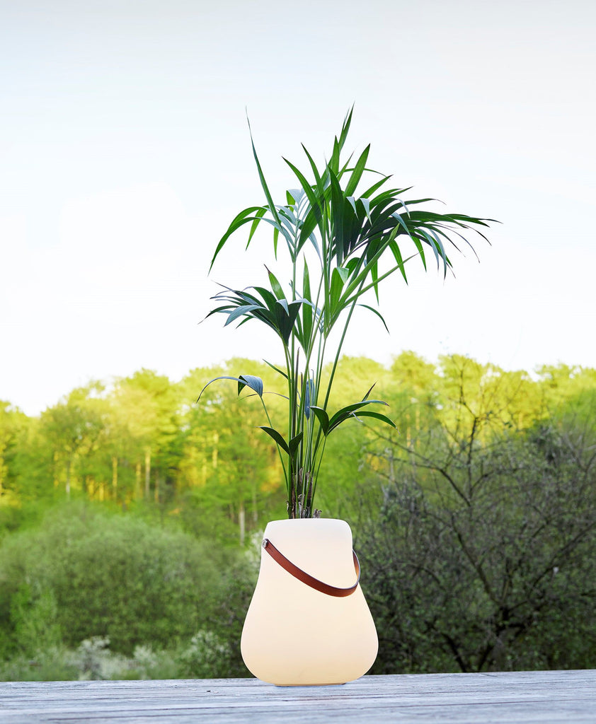 Nordic D’luxx Bloempot – Slimme Sfeerbrenger met Licht & Geluid