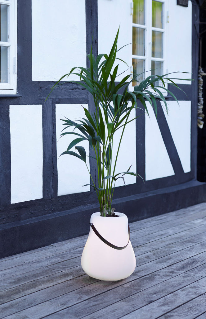 Nordic D’luxx Bloempot – Slimme Sfeerbrenger met Licht & Geluid