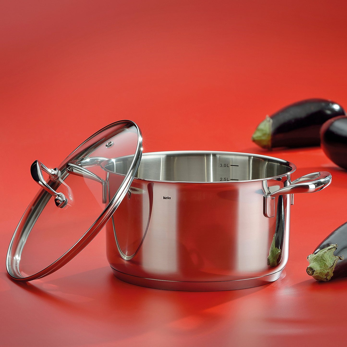FLAVORIA RVS Steelpan – Stijlvol, functioneel en energie-efficiënt, 1,2 L (Ø 16 cm)