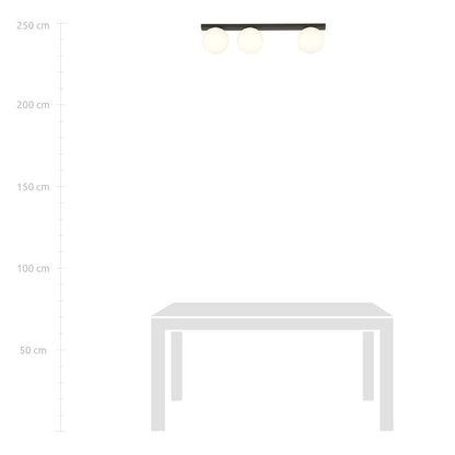 FIT 3 BLACK OPAL – Minimalistische plafondlamp met industriële uitstraling