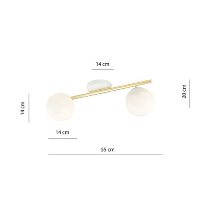 SPLENDI 2 – Elegante plafondlamp met gouden accenten voor een stijlvolle ambiance