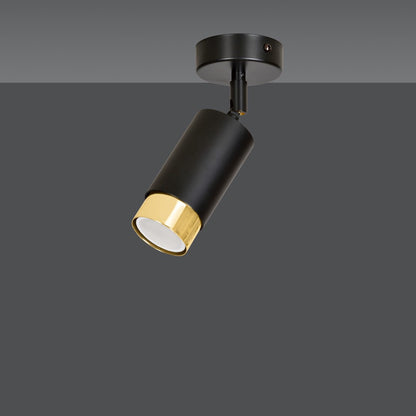 HIRO 1 BL GOLD – Elegante richtspot in matzwart met gouden accenten