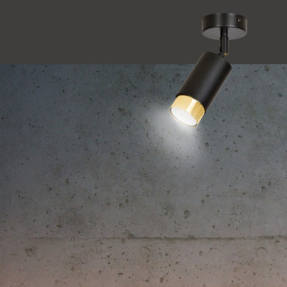 HIRO 1 BL GOLD – Elegante richtspot in matzwart met gouden accenten