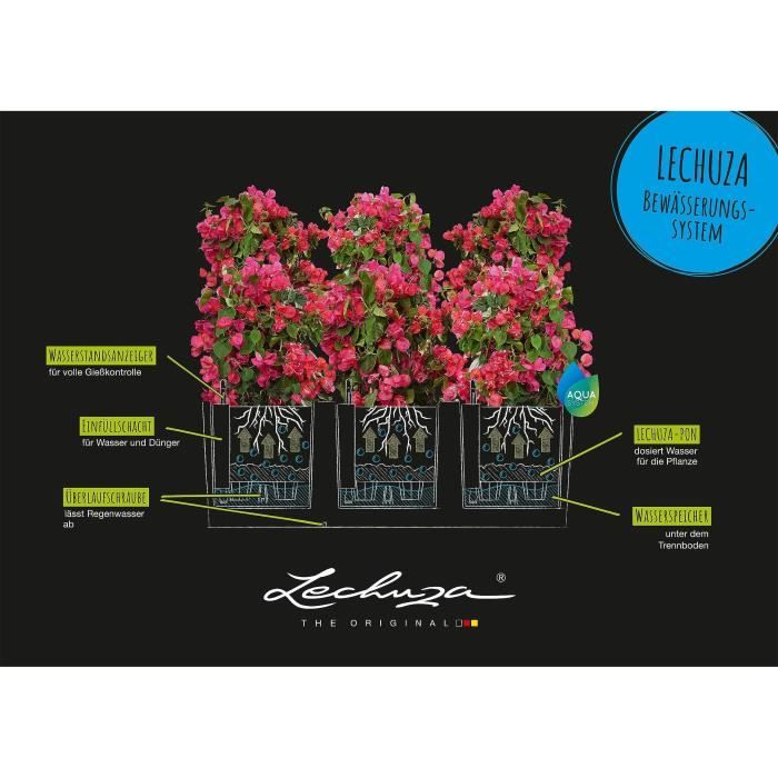 LECHUZA Jardinière Trio Cottage 30 – Complete Set met Waterreservoir
