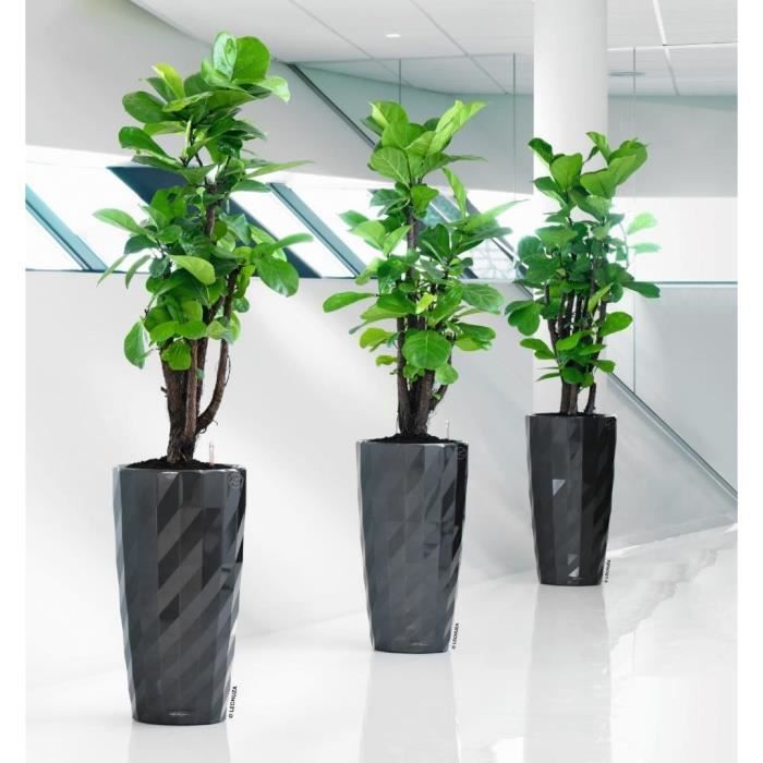 LECHUZA Diamante Premium bloempot – Luxe Design & Complete Set