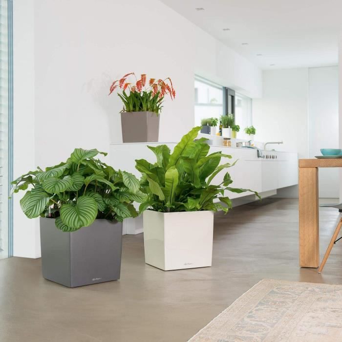 Bloempot - LEC - Cube Premium 50 - glanzend wit - weer- en UV-bestendig