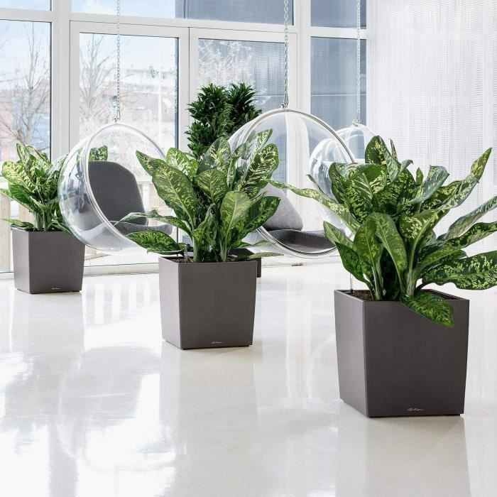 LECHUZA Cube Premium 50 bloempot - complete set, glanzend taupe