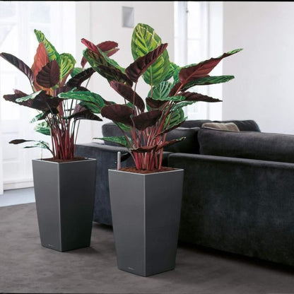 LEC Cubico Premium 40 bloempot – Stijlvol rood design met handig waterreservoir