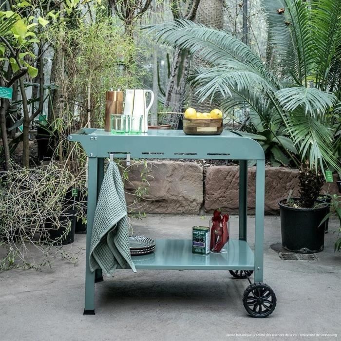 LIVOO Plancha Trolley – Robuuste Buitenkeukenoplossing in Groen/Zwart
