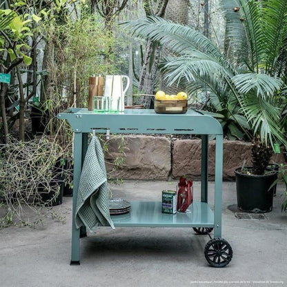 LIVOO Plancha Trolley – Robuuste Buitenkeukenoplossing in Groen/Zwart
